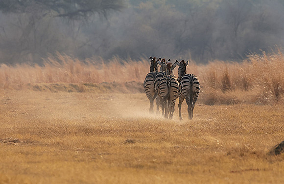 Matetsi private game reserve