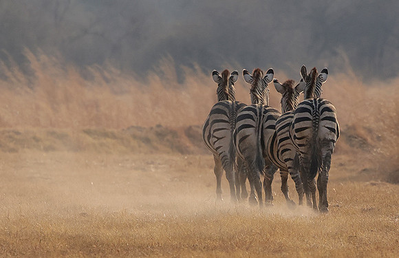 Matetsi private game reserve