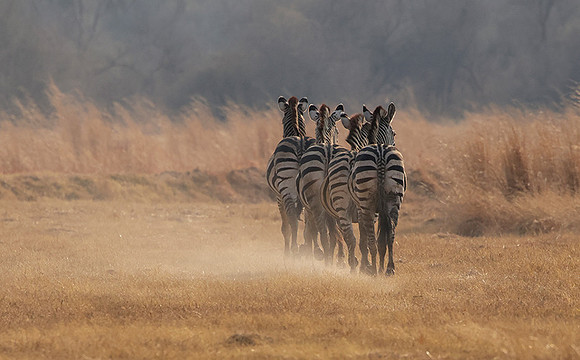 Matetsi private game reserve