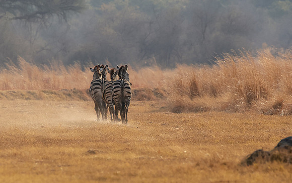 Matetsi private game reserve