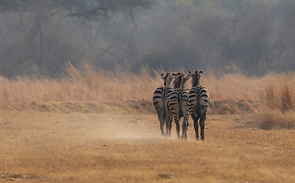 Matetsi private game reserve