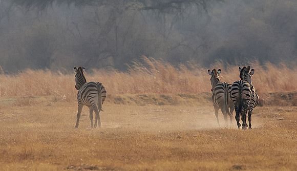 Matetsi private game reserve