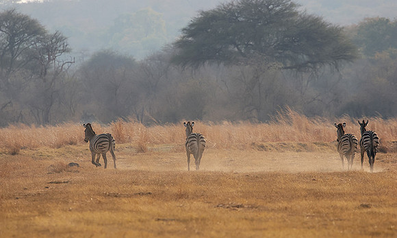 Matetsi private game reserve
