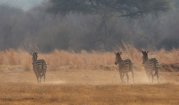 Matetsi private game reserve