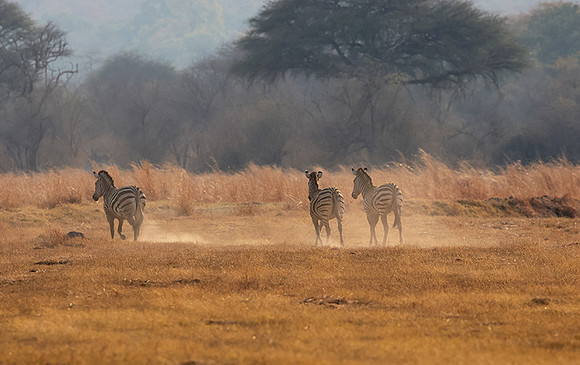 Matetsi private game reserve