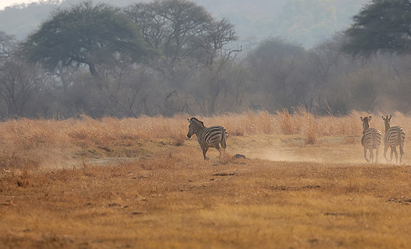 Matetsi private game reserve
