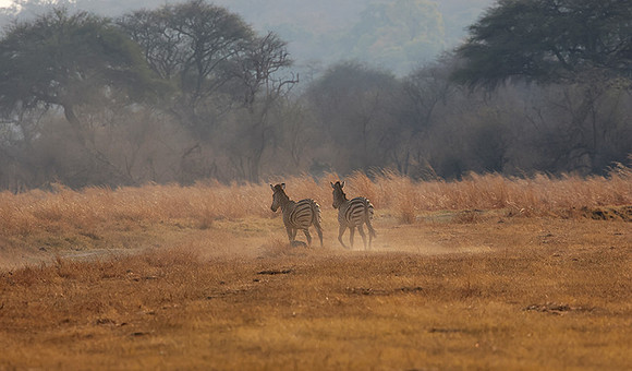 Matetsi private game reserve