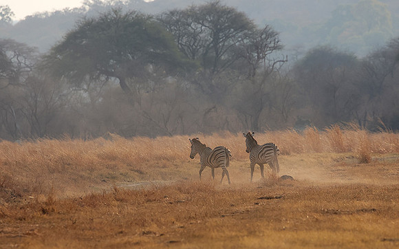 Matetsi private game reserve