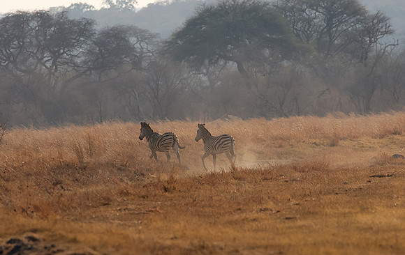 Matetsi private game reserve