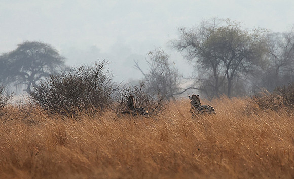 Matetsi private game reserve