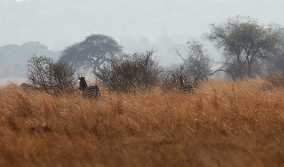 Matetsi private game reserve