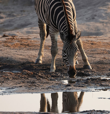 Matetsi private game reserve