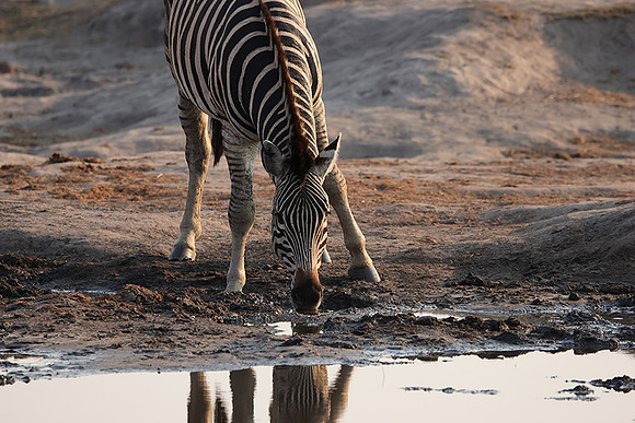 Matetsi private game reserve