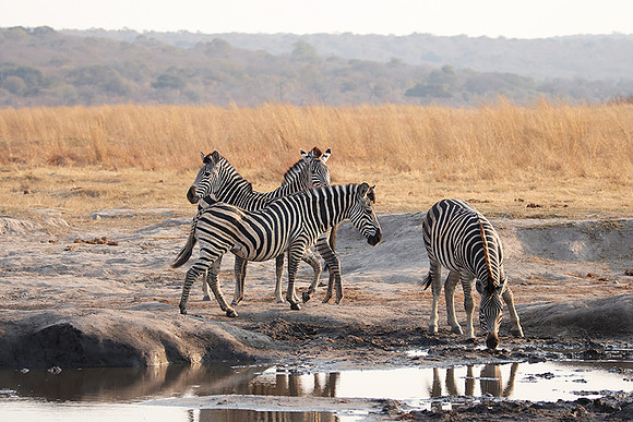 Matetsi private game reserve