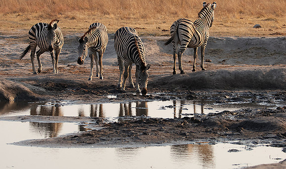 Matetsi private game reserve