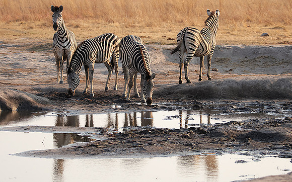 Matetsi private game reserve