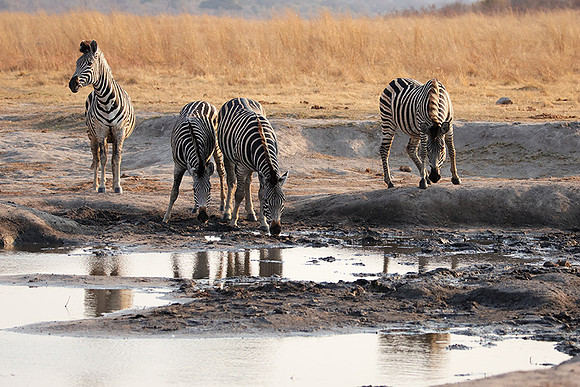 Matetsi private game reserve