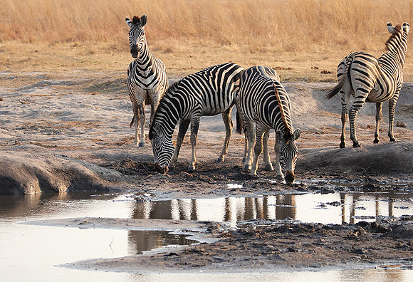 Matetsi private game reserve