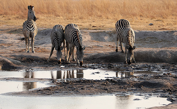 Matetsi private game reserve