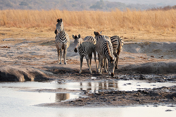 Matetsi private game reserve