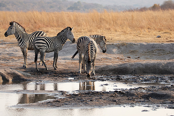 Matetsi private game reserve