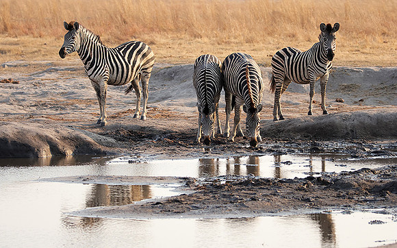 Matetsi private game reserve
