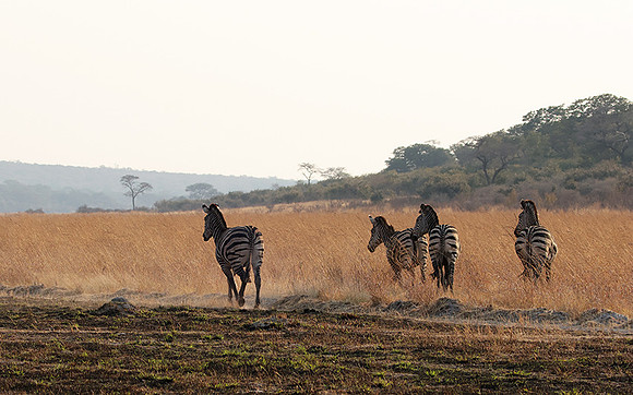 Matetsi private game reserve