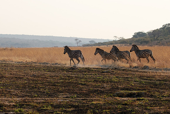 Matetsi private game reserve