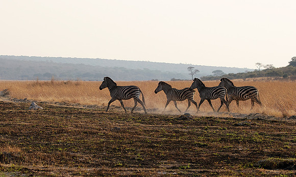 Matetsi private game reserve