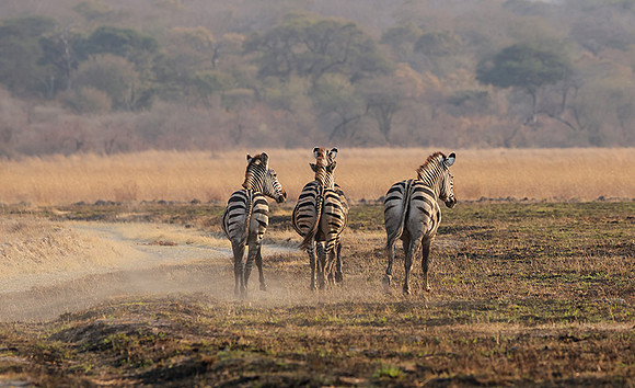 Matetsi private game reserve