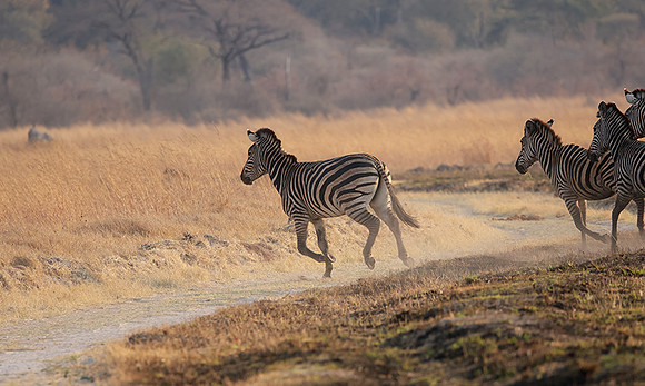 Matetsi private game reserve