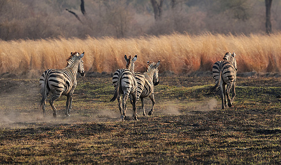 Matetsi private game reserve