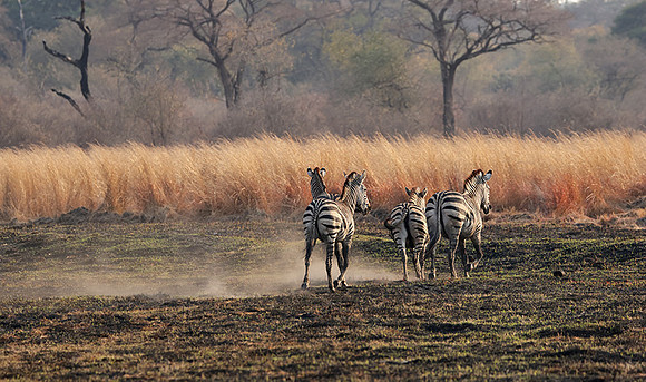 Matetsi private game reserve