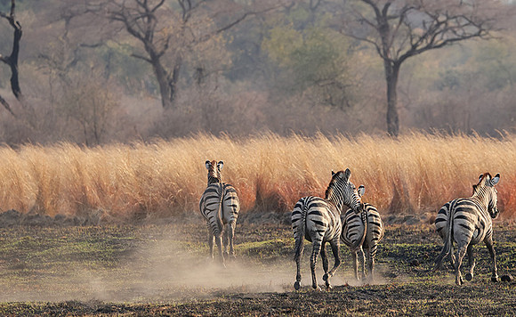 Matetsi private game reserve