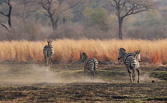 Matetsi private game reserve