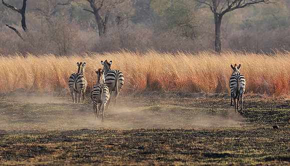 Matetsi private game reserve