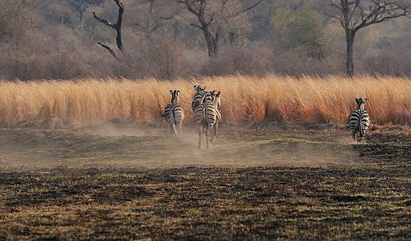 Matetsi private game reserve