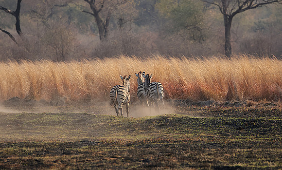 Matetsi private game reserve