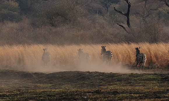Matetsi private game reserve
