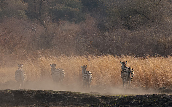Matetsi private game reserve