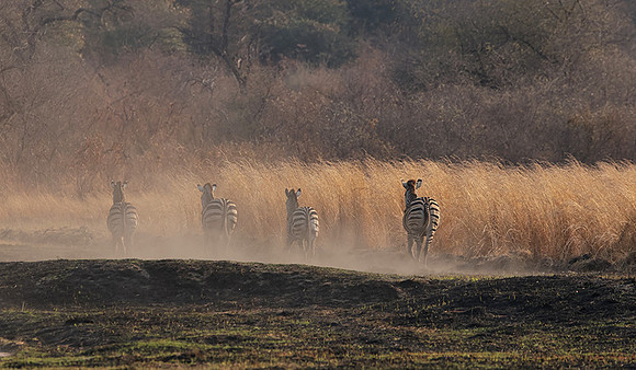 Matetsi private game reserve