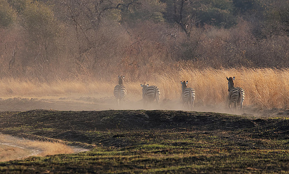Matetsi private game reserve