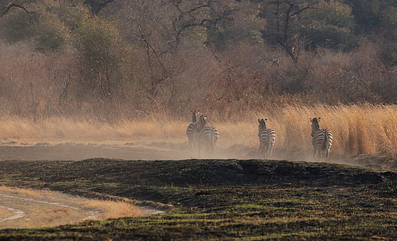 Matetsi private game reserve