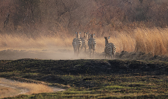 Matetsi private game reserve