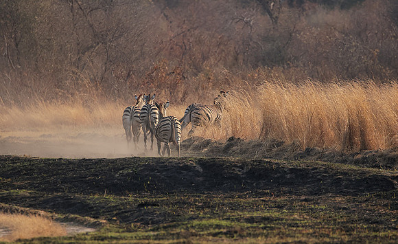 Matetsi private game reserve