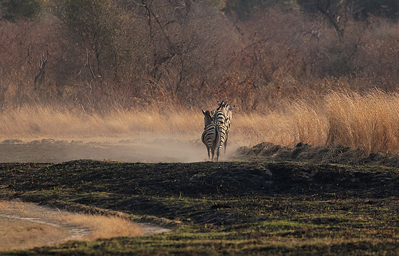 Matetsi private game reserve