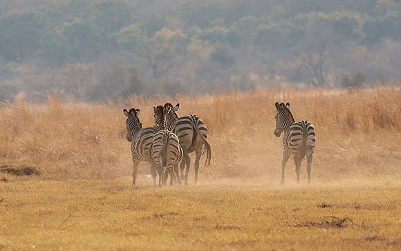 Matetsi private game reserve