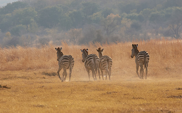 Matetsi private game reserve