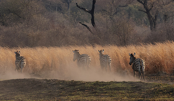 Matetsi private game reserve