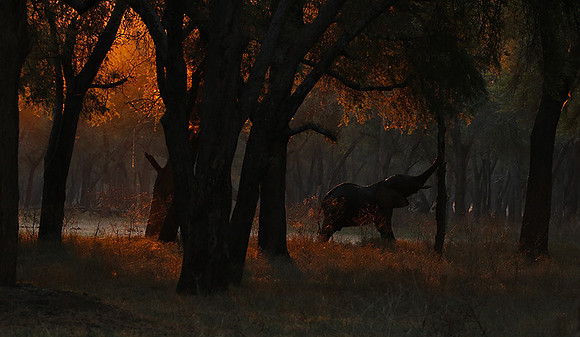 Lower Zambezi